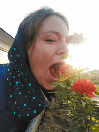DIE_FOTOFUECHSE fotografieren fotokurs fotoreise fotofuechse GIF