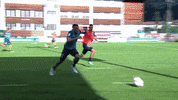 training eggestein GIF by SV Werder Bremen