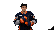 Hockey Nhl Sticker by Flint Firebirds