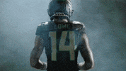 Oregon Football GIF by GoDucks