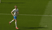 Football Soccer GIF by Holstein Kiel