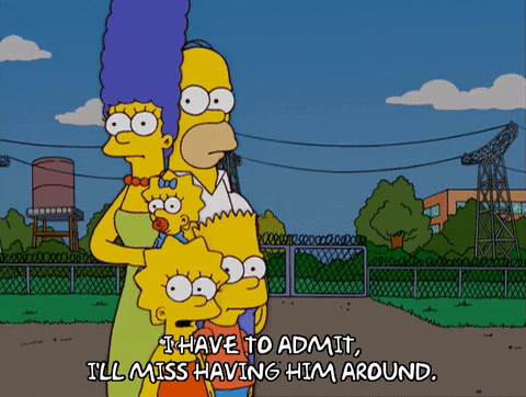 homer simpson GIF