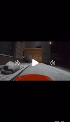 wrathmonkey giphygifmaker giphygifmakermobile GIF