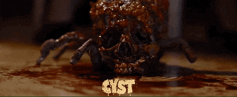 Horror Movie GIF by Raven Banner Entertainment