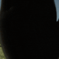 Work Go GIF by EDF Officiel