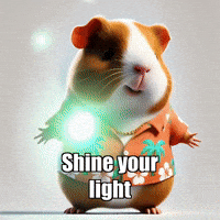 Shine Your Light Wisdom GIF by Guinea Gambino