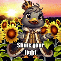 Shine Your Light Wisdom GIF by sirduckbeth