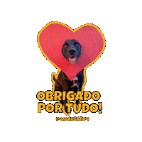 Heart Love Sticker