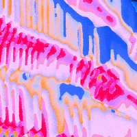 Rainbow Loop GIF by Toke