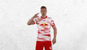 Aye Aye Hello GIF by RB Leipzig