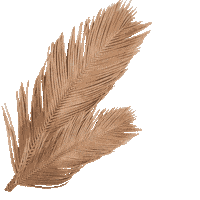 shopstarlow shop palmtrees palm leaf starlow Sticker