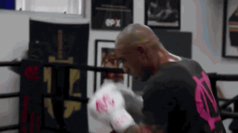 Kickboxing GIF