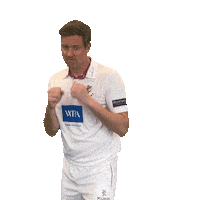 Ball Boxing Sticker by Somerset County Cricket Club