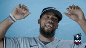 Major League Baseball Mlb GIF by Sportsnet