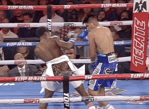 toprank giphyupload fight fighting espn GIF