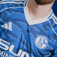 Football Soccer GIF by FC Schalke 04