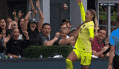Celebrate Womens Soccer GIF by National Women's Soccer League
