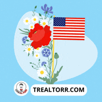 Real Estate Usa GIF by Trealtorr