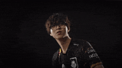 League Of Legends Lol GIF by G2 Esports