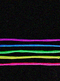 moving castle strange loop GIF by Moon Bounce