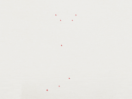 typography tattoo GIF by Brikk