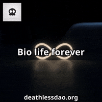Life Ai GIF by deathlessdao