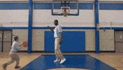 blocking roy hibbert GIF