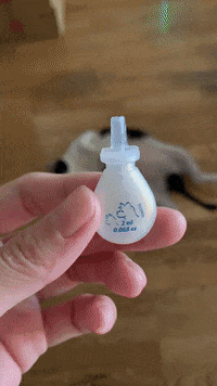 GIF by Choc Ye
