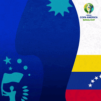 venezuela vibraocontinente GIF by Copa América
