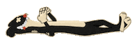 Skateboarding Snowboarding Sticker by Weaselrat