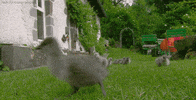gosling GIF by Head Like an Orange