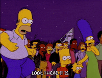 homer simpson episode 10 GIF