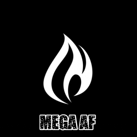 Fyrefitlagree giphygifmaker mega lagree fyre GIF