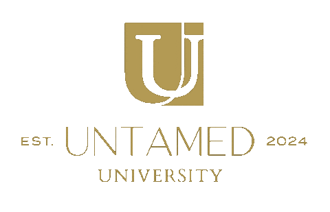 University Taylor Sticker by iamtaylorsimpson