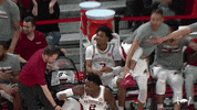 College Basketball Wow GIF by Arkansas Razorbacks