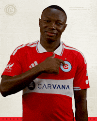 Chicago Fire Soccer GIF by Chicago Fire Football Club