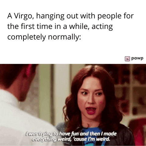 mypawp giphyupload GIF