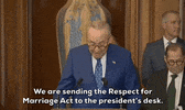Marriage Equality GIF by GIPHY News