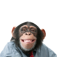 Thomas More School Sticker by Karel de Grote Hogeschool