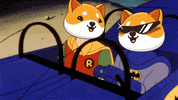 Money Crypto GIF by Baby Doge Coin
