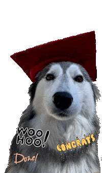 We Did It Dog Sticker