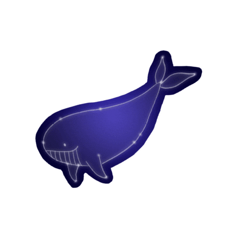 LadyLora giphygifmaker whale lt constellation Sticker
