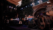 Viva Suecia GIF by Movistar+