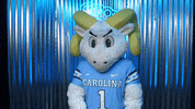 University Of North Carolina GIF by UNC Tar Heels