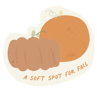 Illustration Baby Sticker by softspot.baby