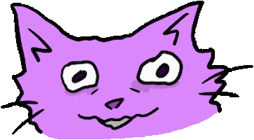 Cat Funny Cats Sticker