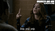 brooklyn nine nine GIF by Fox TV