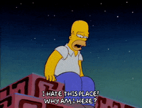 homer simpson GIF