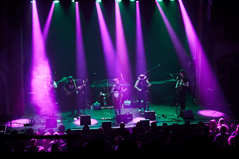GIF by wade.photo