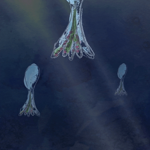shawyanimation animation water ocean fish GIF